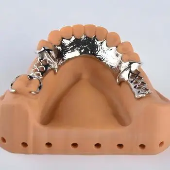 Titanium Partials Titanium Partials